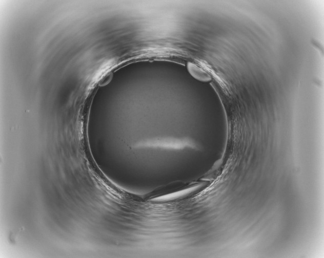 X0000093741459200710301054