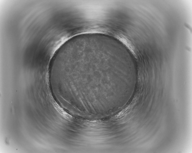 X0000093741460200710301054