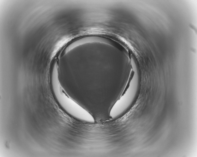 X0000093741461200710301054