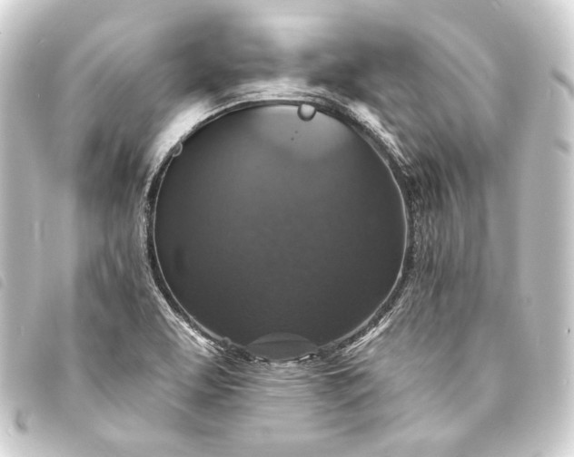 X0000093741463200710301054