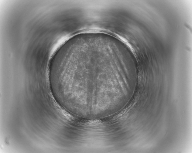 X0000093741464200710301054