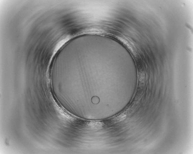 X0000093741466200710301054