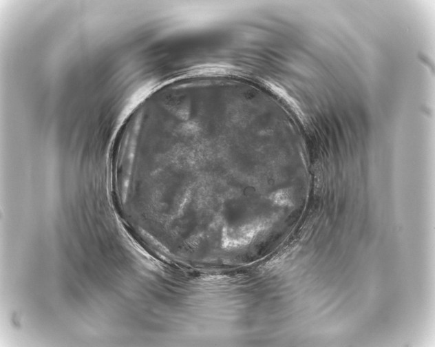 X0000093741467200710301054