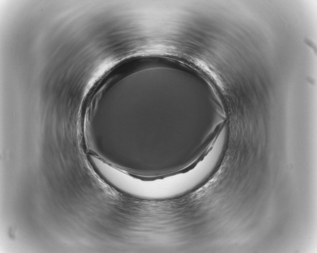 X0000093741469200710301054