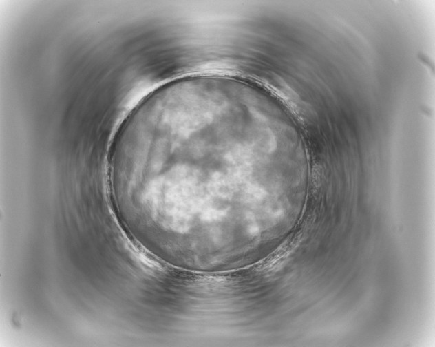 X0000093741470200710301054