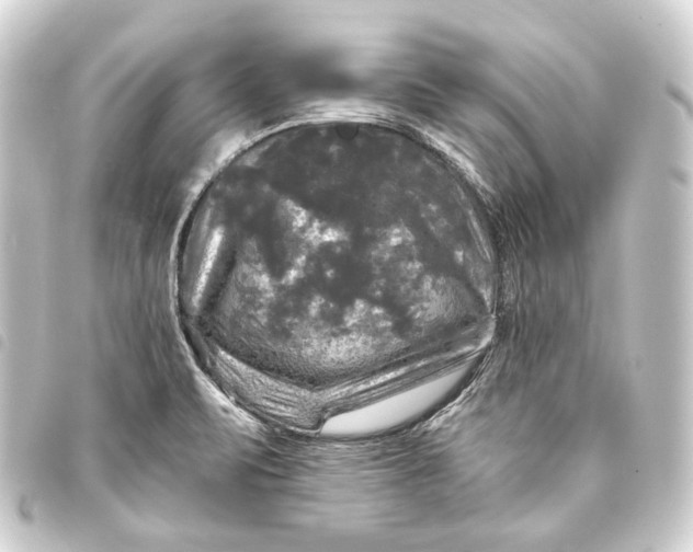 X0000093741471200710301054