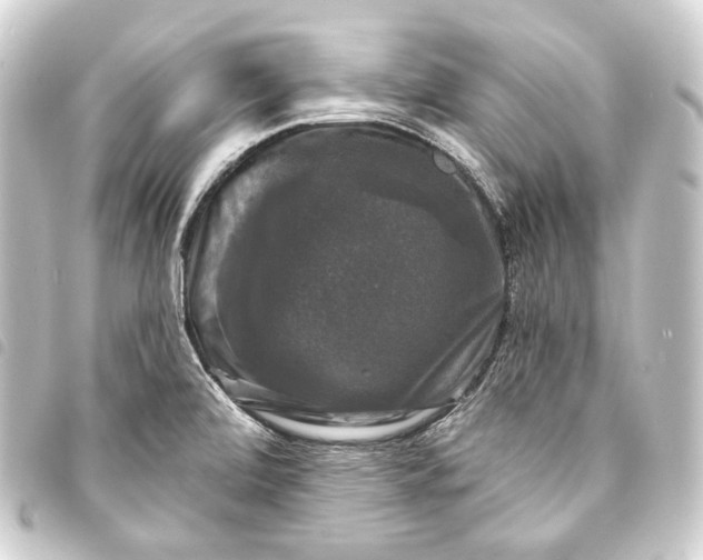 X0000093741472200710301054