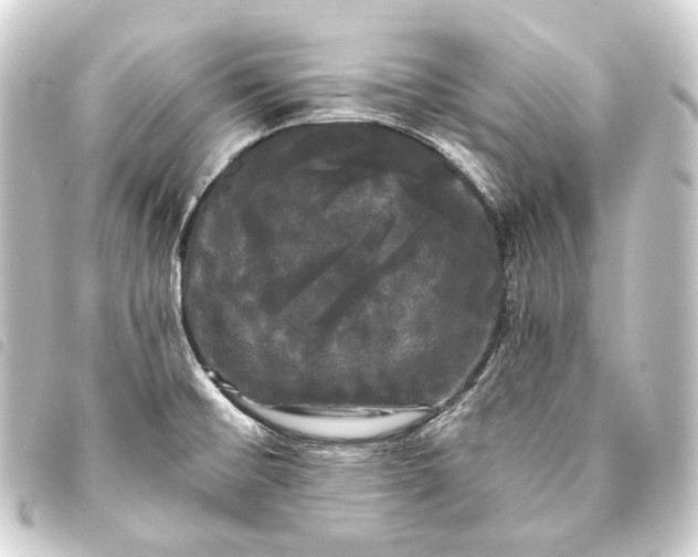 X0000093741476200710301054