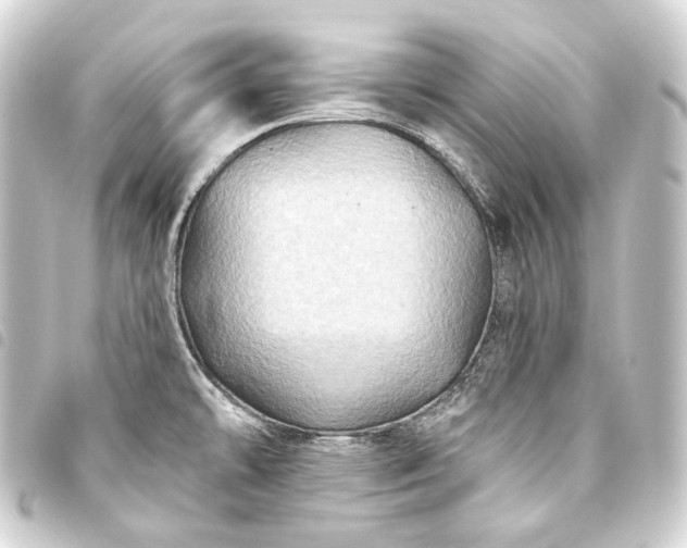 X0000093741478200710301054