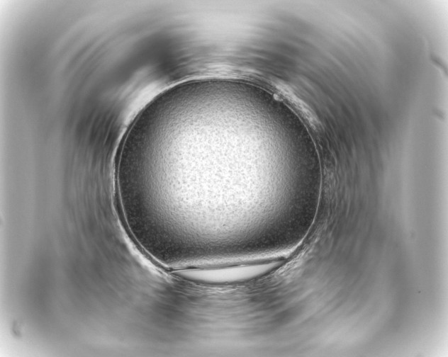 X0000093741479200710301054