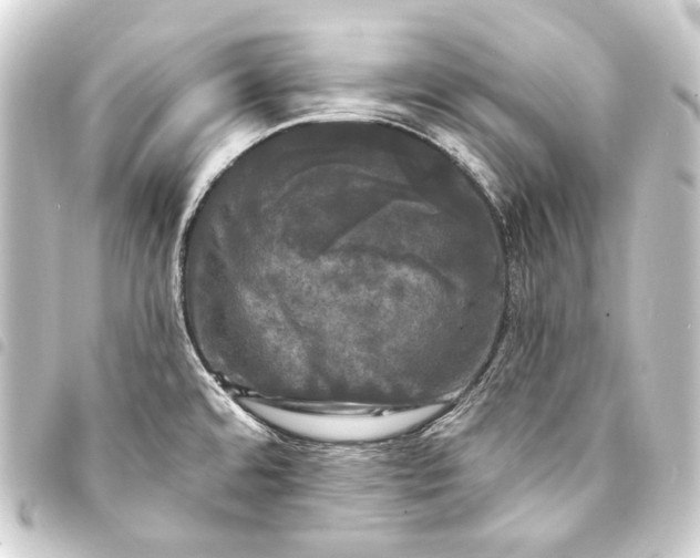 X0000093741480200710301054