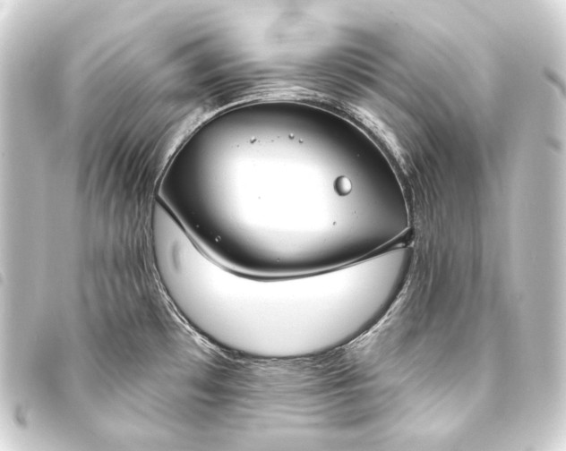 X0000093741481200710301054