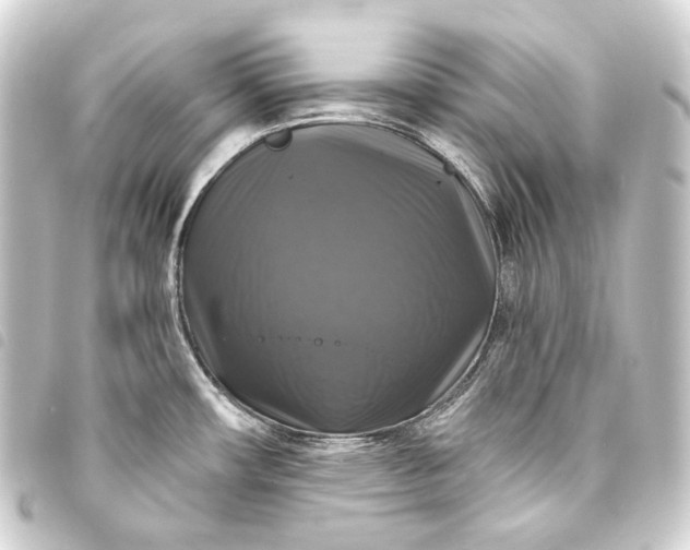 X0000093741482200710301054