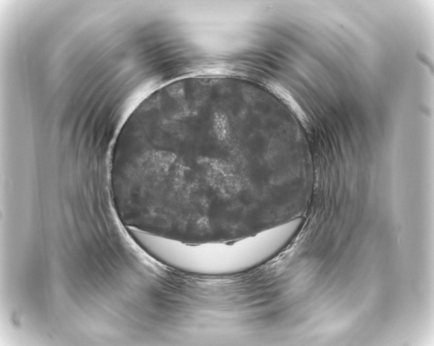 X0000093741483200710301054