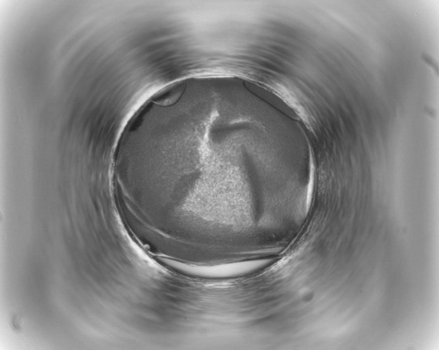 X0000093741484200710301054