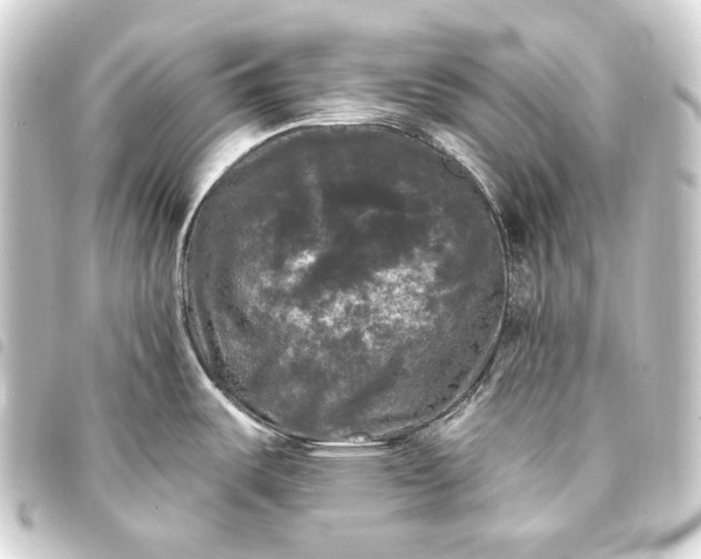 X0000093741487200710301054