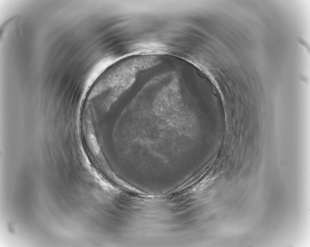 X0000093741488200710301054