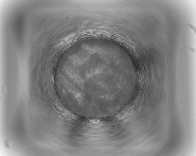 X0000093741489200710301053