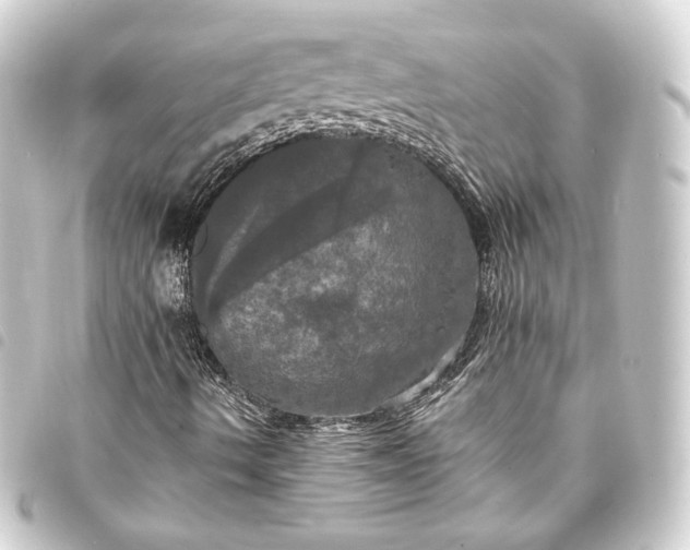 X0000093741490200710301053