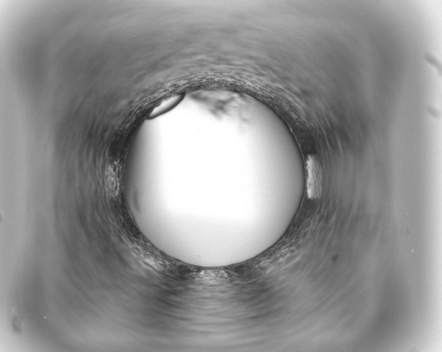 X0000093741491200710301053