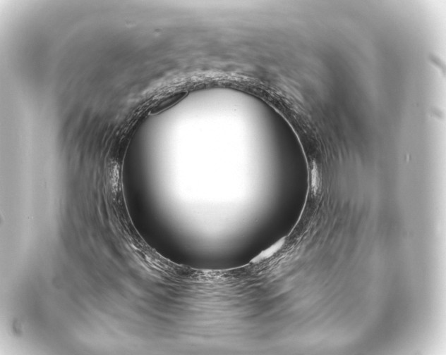 X0000093741492200710301053