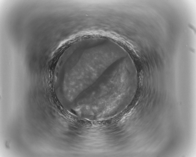 X0000093741494200710301054