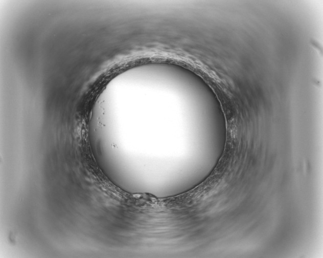 X0000093741495200710301054