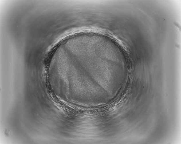 X0000093741496200710301054