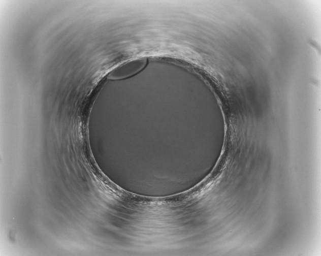 X0000093741497200710301054