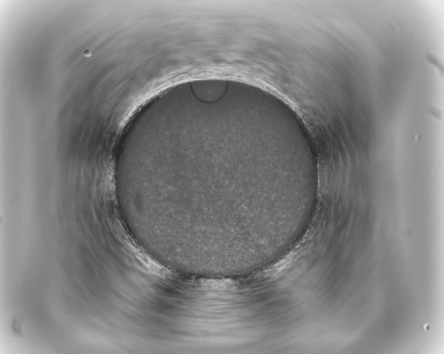 X0000093741498200710301054