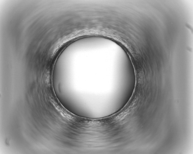 X0000093741499200710301054