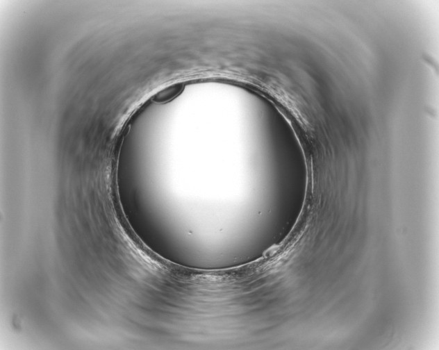 X0000093741500200710301054