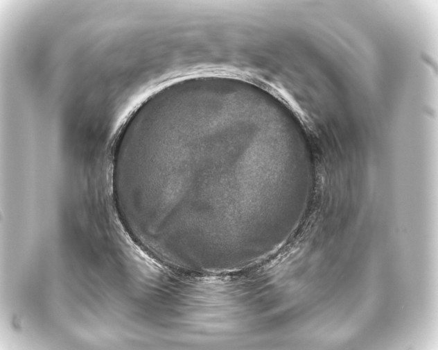 X0000093741504200710301054