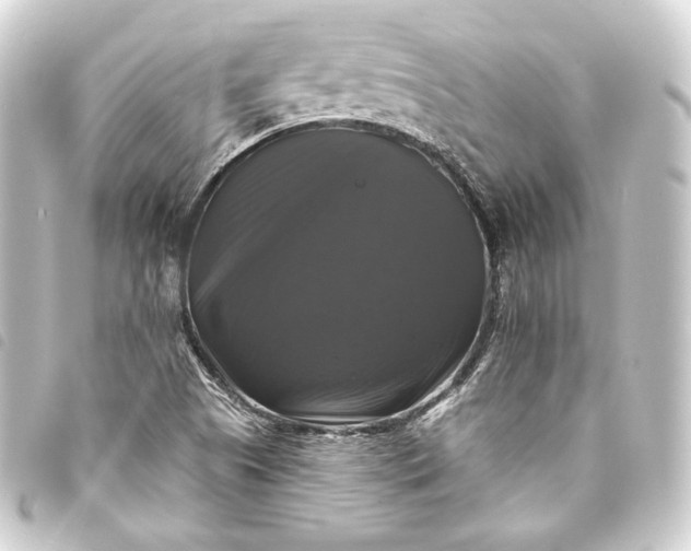 X0000093741505200710301054