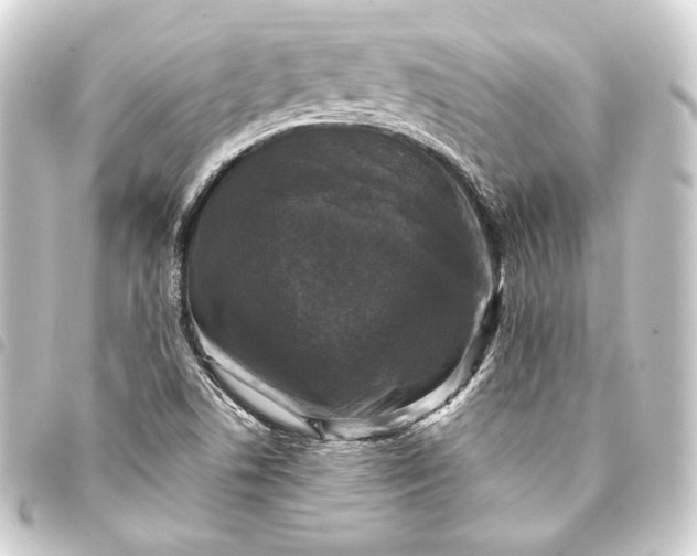 X0000093741506200710301054