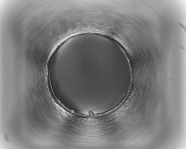 X0000093741508200710301054