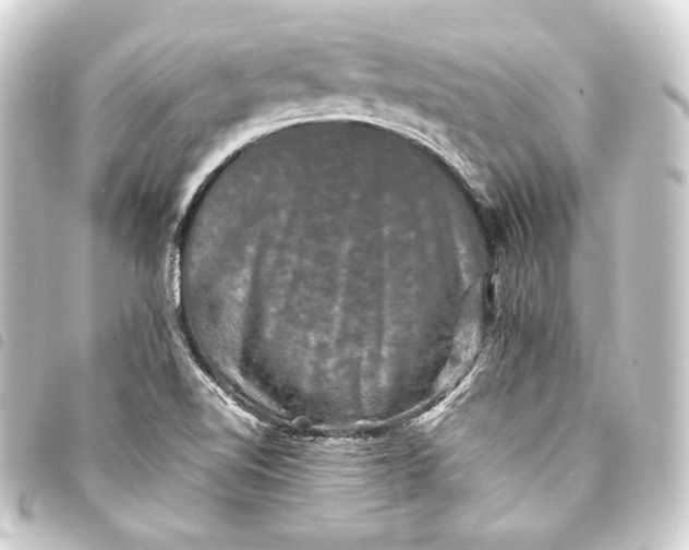 X0000093741510200710301054