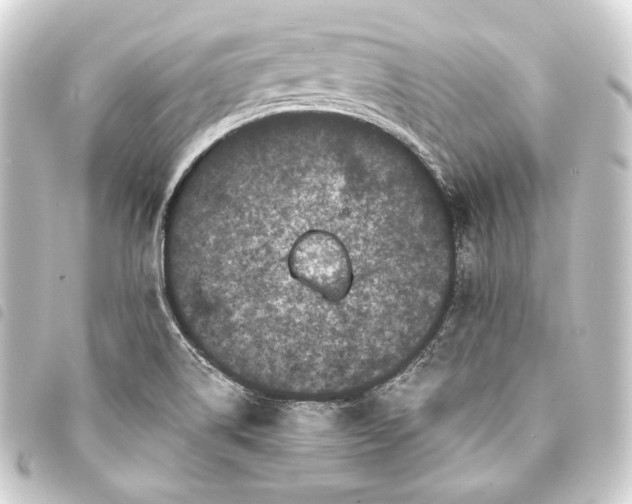 X0000093741514200710301054