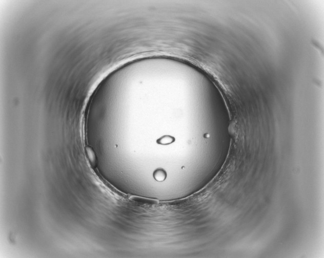 X0000093741516200710301054