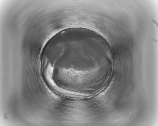 X0000093741517200710301054