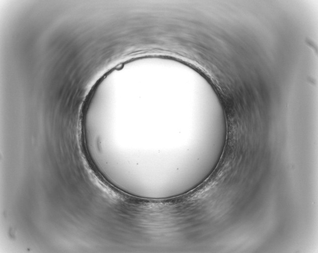 X0000093741518200710301054