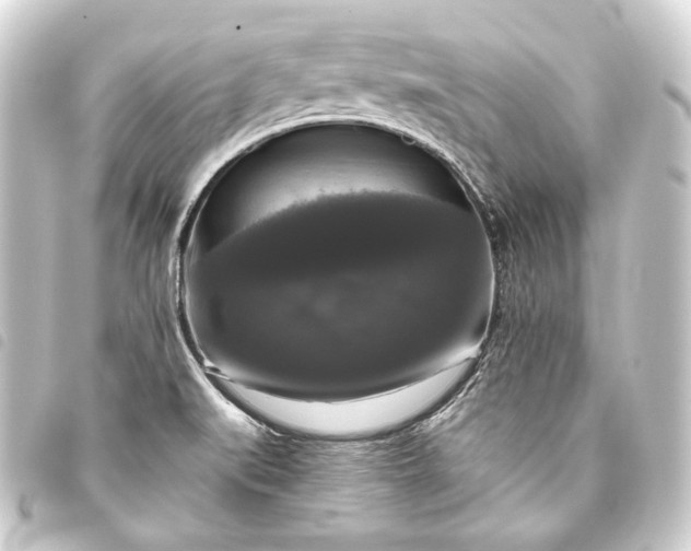 X0000093741519200710301054