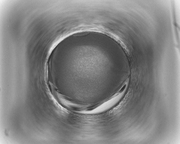 X0000093741520200710301054