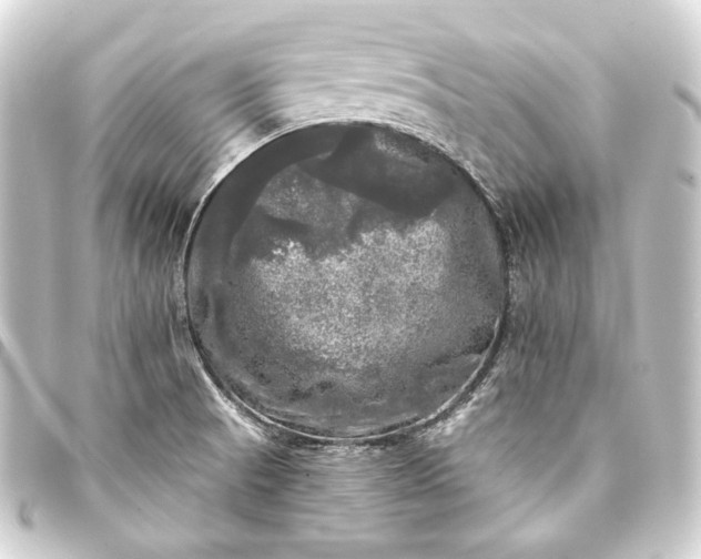 X0000093741521200710301054