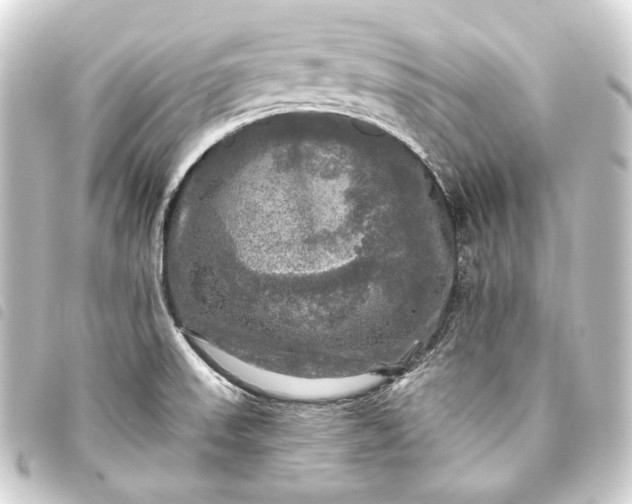 X0000093741523200710301054