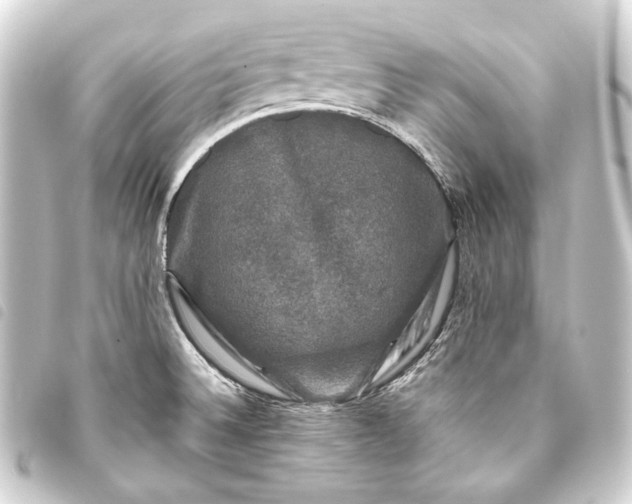 X0000093741524200710301054