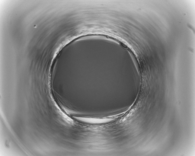 X0000093741525200710301054