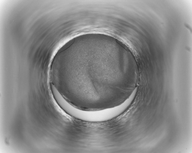 X0000093741528200710301054