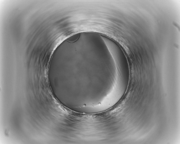 X0000093741529200710301054