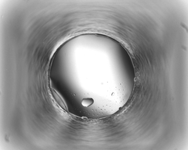 X0000093741530200710301054